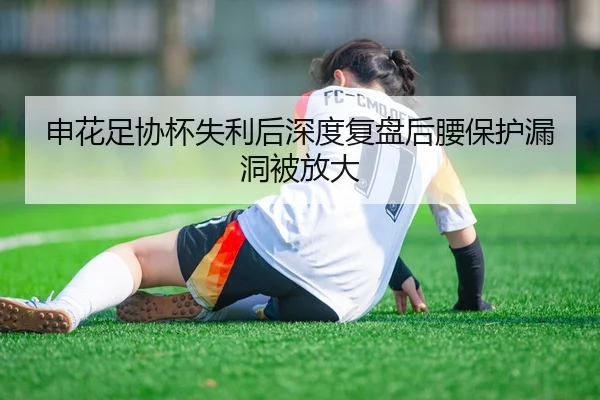 申花足协杯失利后深度复盘后腰保护漏洞被放大
